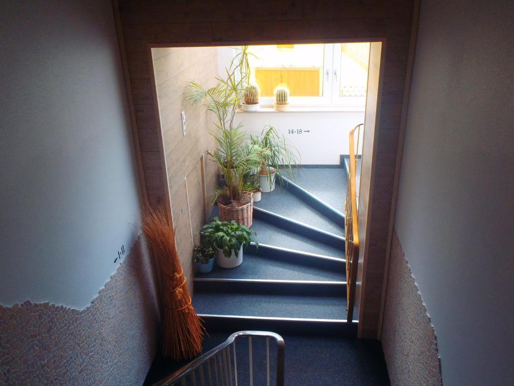 Hotel Hannen Papenburg Εξωτερικό φωτογραφία